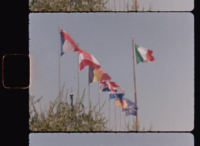 Flags of different countries hanged on poles during the day