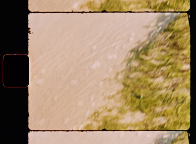 A small wave washes upon a sandy beach lined by vegetation