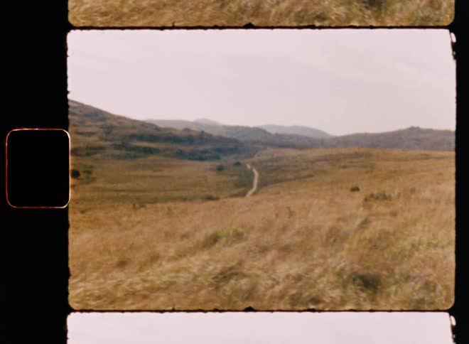 A grassy meadow with mountains on the horizon
