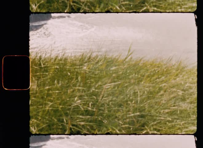 Grassy field with the ocean in the background