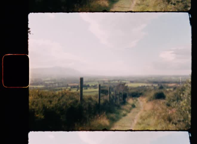 A trail runs between the fields