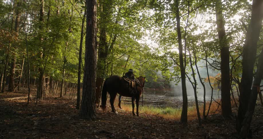 A woman jumping from her horse in a forest clearing