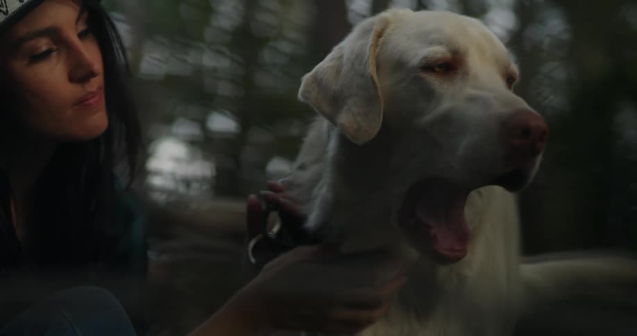 A woman petting a dog outdoors