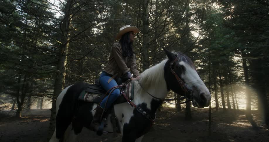 Lady on a cowboy hat sits on a standstill horse inside a forest during the day