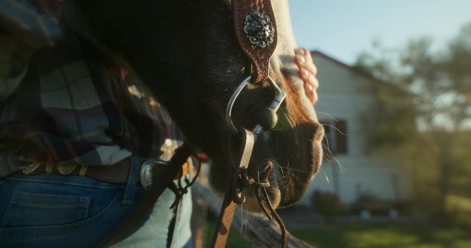 A woman wearing a checked shirt strokes the nose of a brown horse wearing a bridle