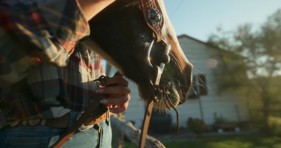 A person petting a horse while it eats