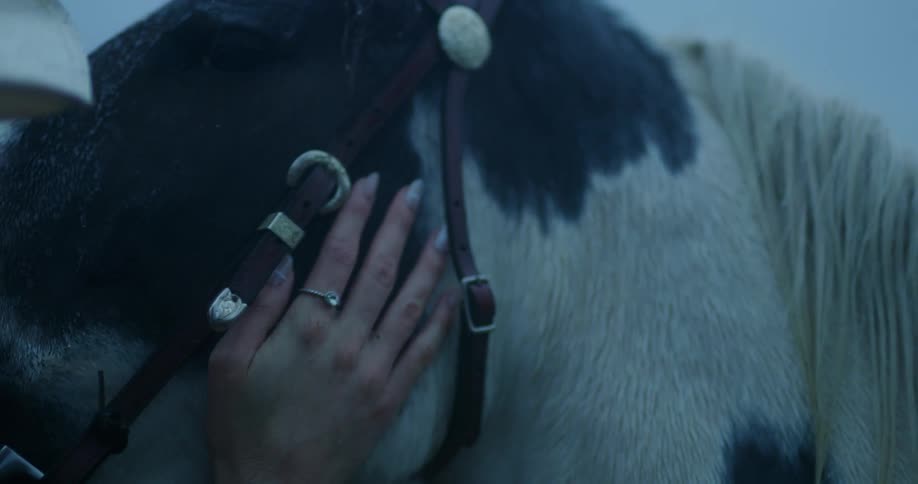 Woman strokes head of horse wearing bridle during rainfall