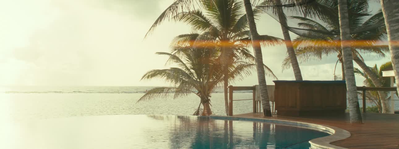 A luxury swimming pool under palm trees near the ocean