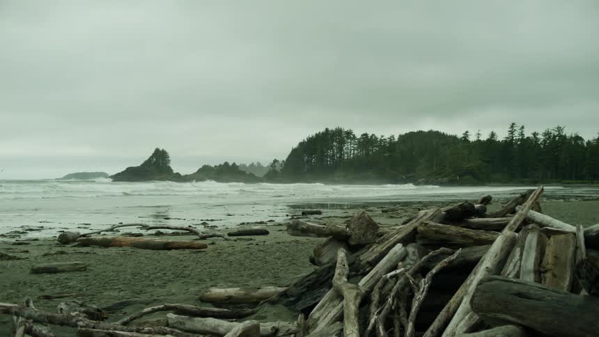 View of the sea with branches on the beach sand