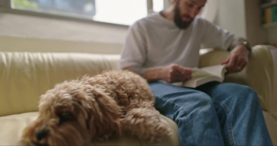 A man in jeans adorned with a tattoo sits on a beige couch in a living room petting a brown dog and engrossed in a book