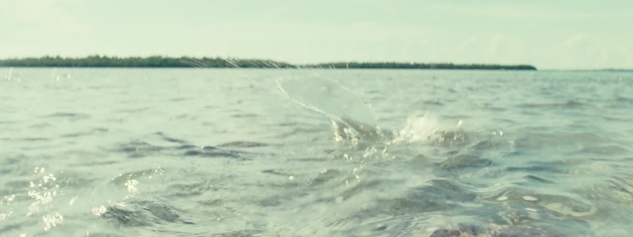 Fish being caught by a man
