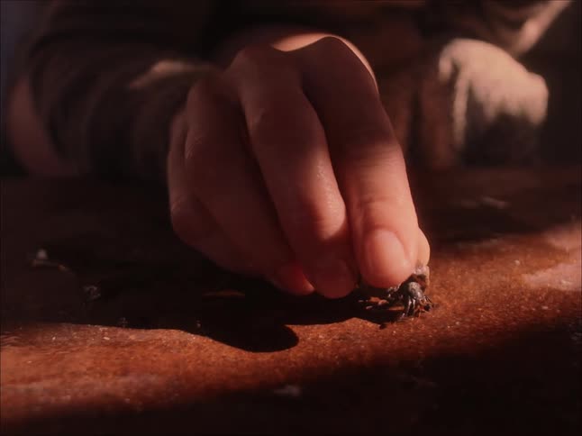 Hand of a person touching a moving insect on the ground