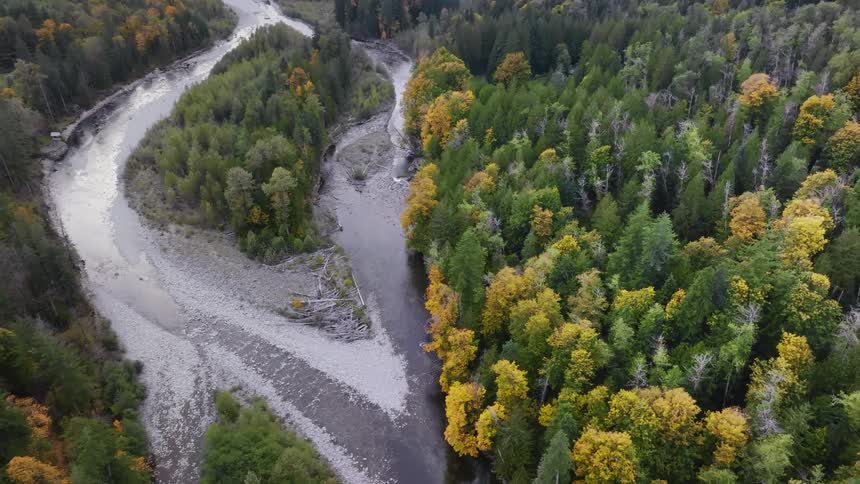 River forks then merges to form island in middle of autumnal forest