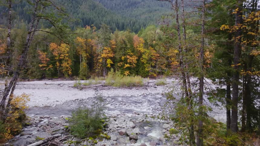A small stream surrounded by gravel rocks and forests