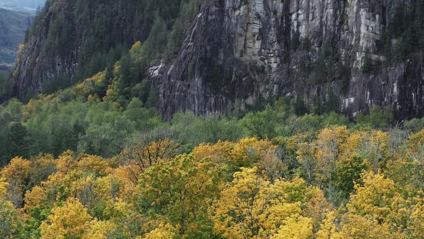 A forest region close to a huge rocky mountain