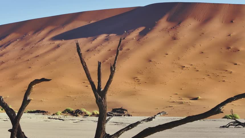 The desert has high dunes