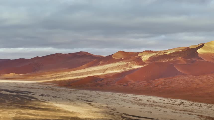 Desert landscape