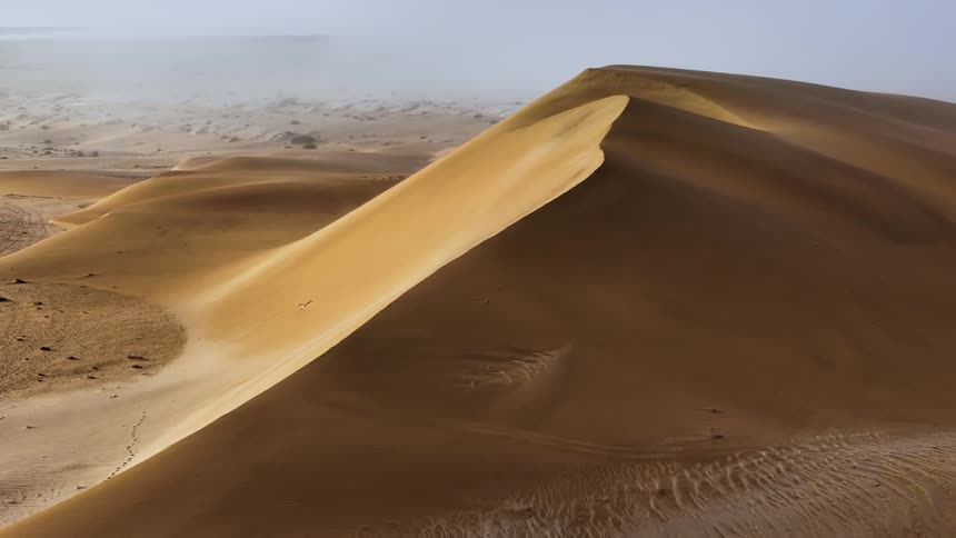 Aerial view of a expansive sand desert