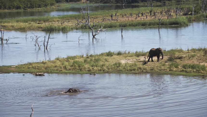 The elephant is bathing in the water