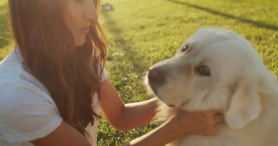 A woman with brown hair wearing a white tshirt and jeans enjoys petting and playing with a white dog on the green lawn as the sun shines brightly