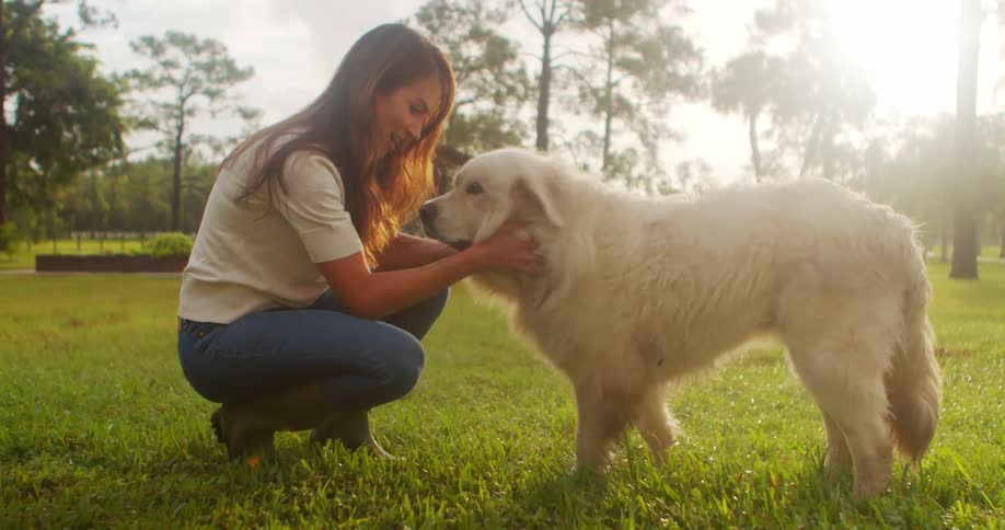 A woman crouched affectionately petting her golden retriever in a sunlit grassy field within a garden