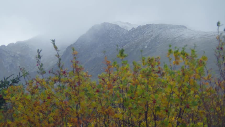 The top of a mountain covered in fog