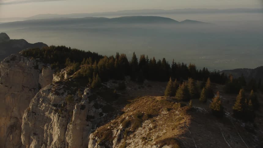 Aerial view of pine tree forests atop a mountain range
