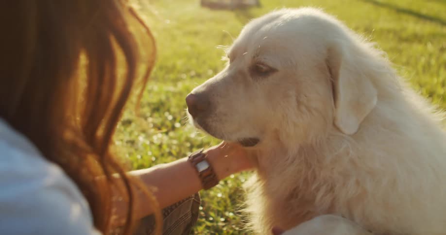 A woman and a dog sitting on the grass outdoors
