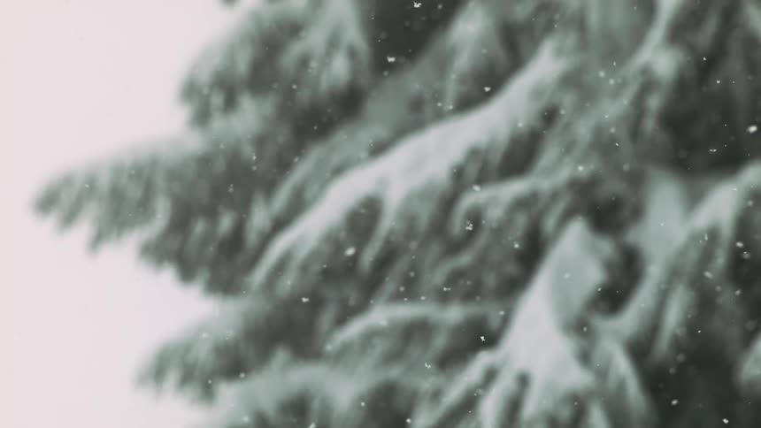 Snow falling in slow motion
