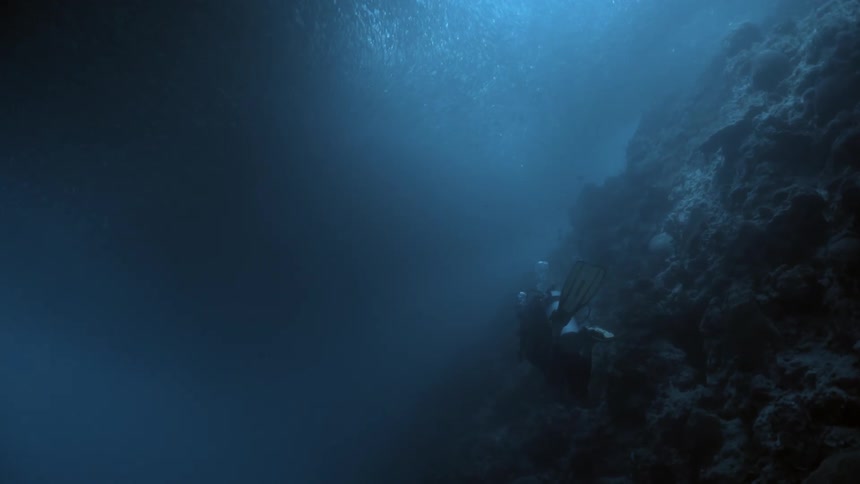Scuba diver with an oxygen tank swimming at the bottom of the ocean near reef corals under a massive school of fish