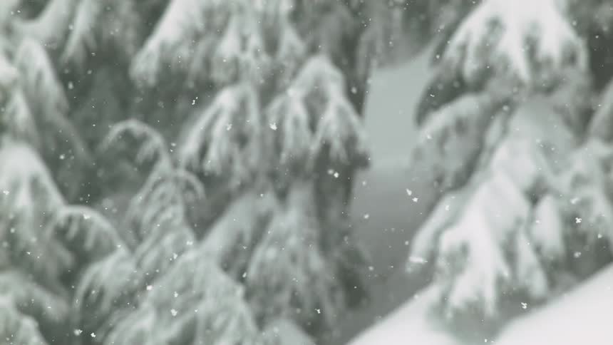 Slow falling snow in front of snow covered trees on a slope gradually fade into focus