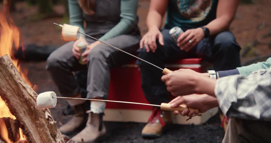 Friends sitting in front of a campfire in the forest chatting with one of them roasting marshmallows