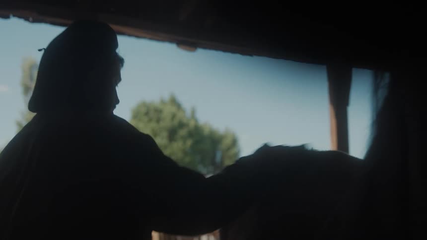 A man brushing a horses hair
