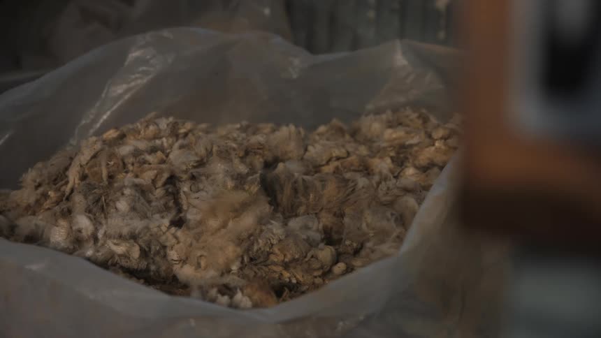 A pile of identical small objects inside a plastic bag