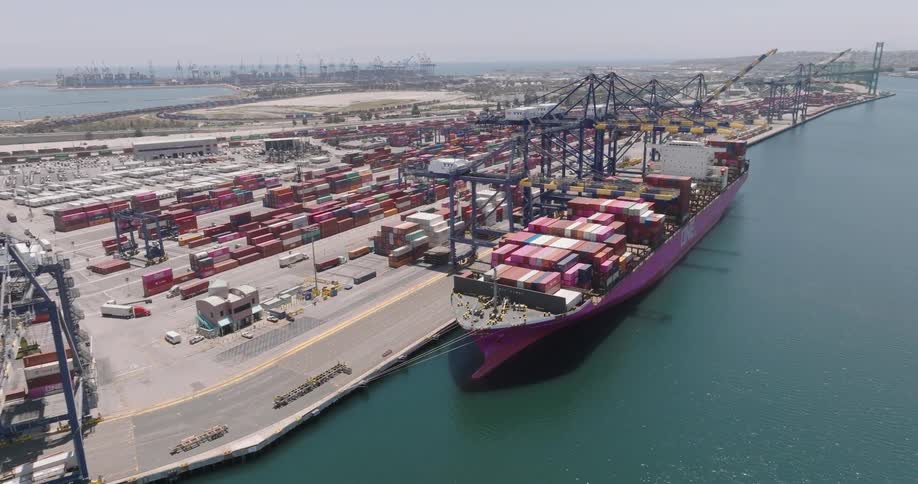 A bird flies by the freight ship