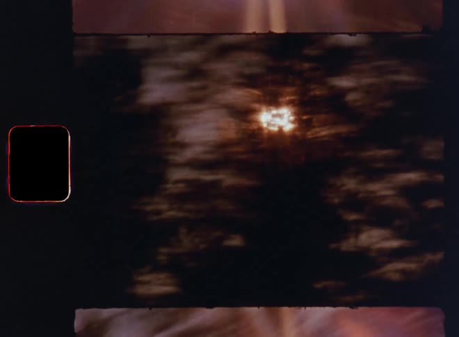 Sun glares through forest as the dark fast-moving silhouettes of trees create contrast and dynamic effect while looking up during road trip providing suspenseful abstract flow as a dynamic transition on vintage Super-8 film