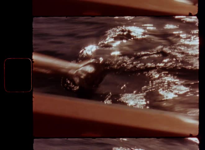 Shaky Super 8mm close up with hand-held camera movement of a wooden paddle or oar diving into the wavy lake surface while rowing a boat with speed symbolizing locomotion or transportation on water