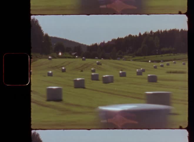 View of a field with several white boxes under the grass