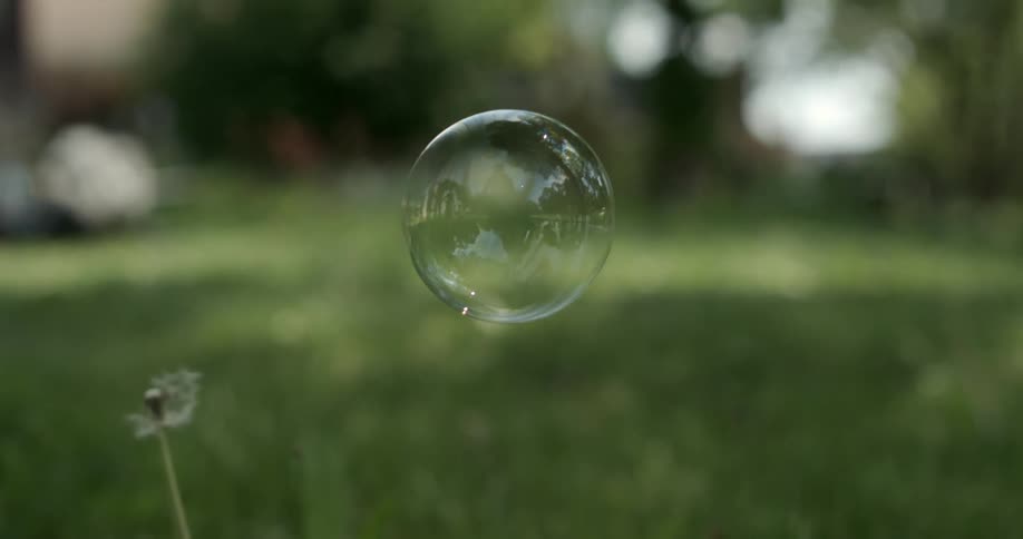 A large bubble floats above the grass