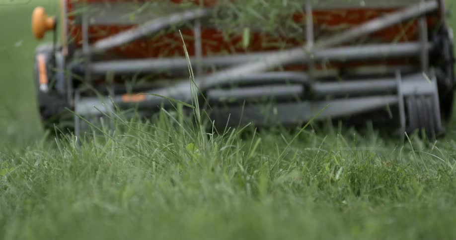 A person is mowing a lawn