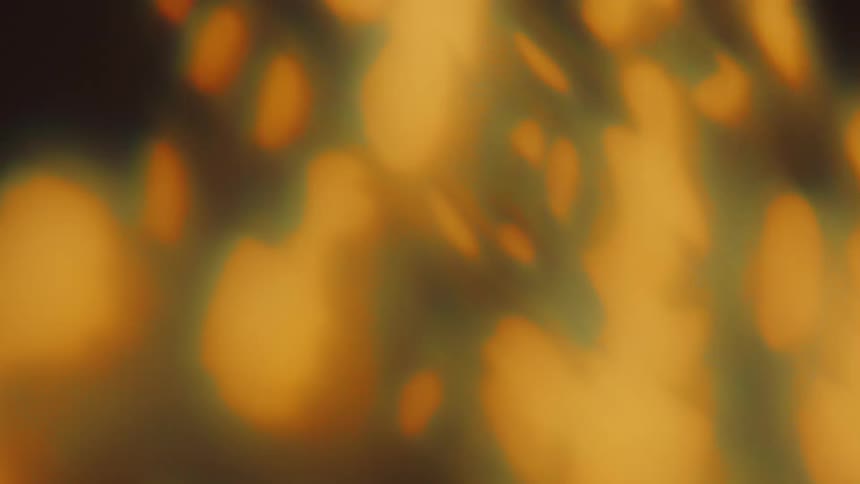 Shadows formed by yellow light on the wall