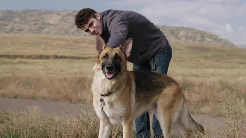 A man pets his dog