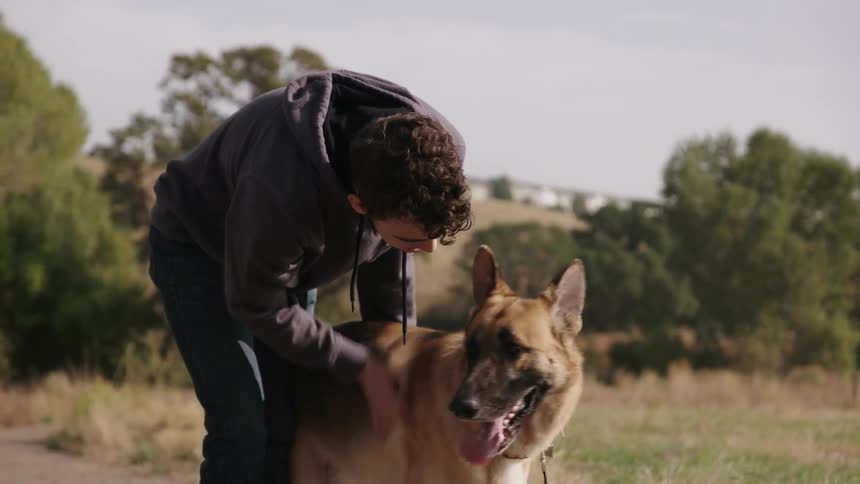 Man pets a panting dog while on a walk
