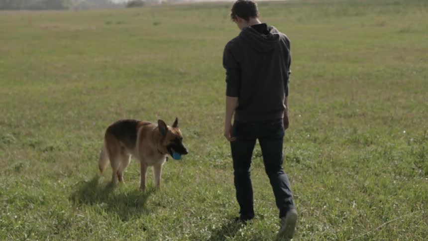 A dog is bringing the ball back to a man