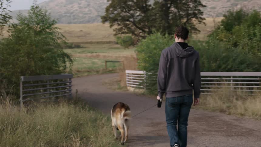 A man walks his dog down a country road