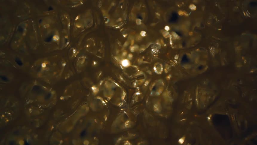 A clip of a gold like sticky element