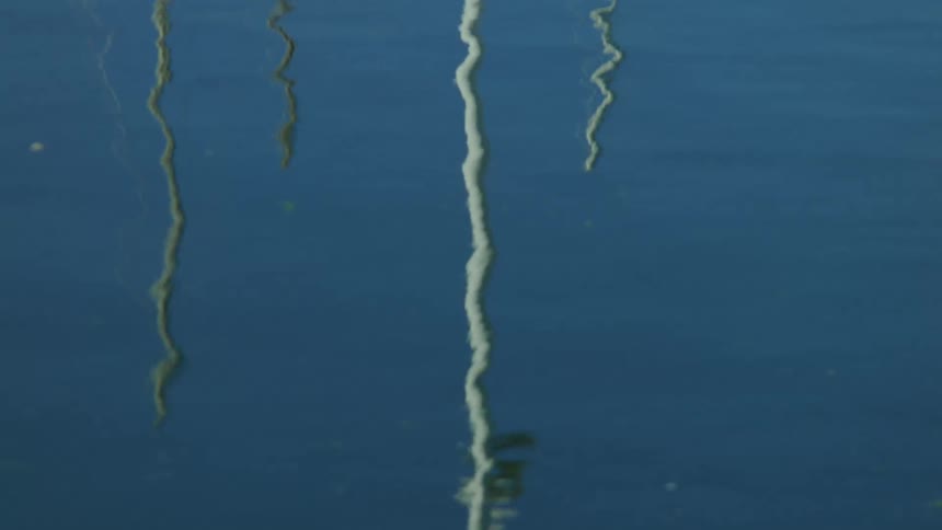 Reflection of poles in the surface of water