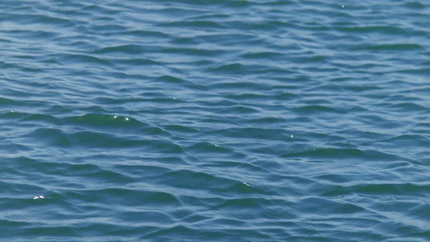 Surface of the ocean as seen from a boat