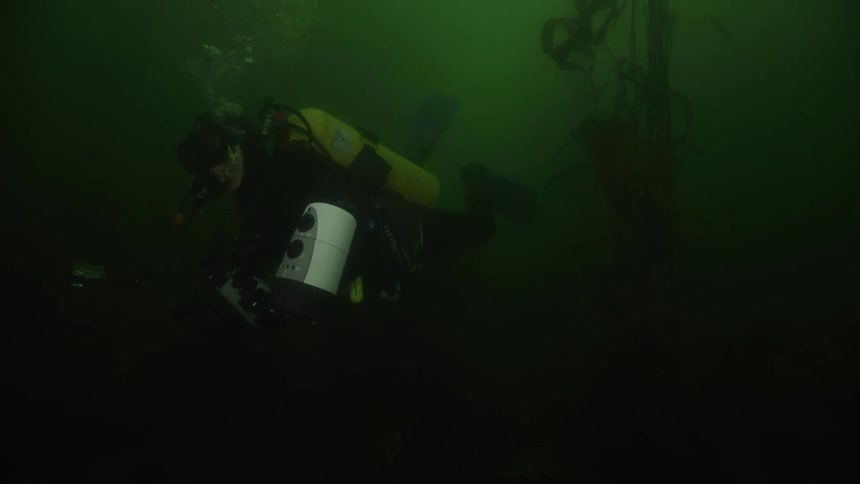 Scuba diver carries a camera underwater