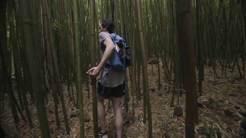 A man is walking through a forest of bamboo trees